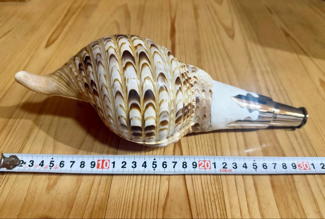 コンパクト修験道法螺貝 山伏 密教 魔除け 熊よけ❣️ - メルカリ