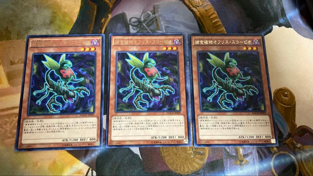 遊戯王 捕食植物 オフリススコーピオ 3枚 - メルカリ