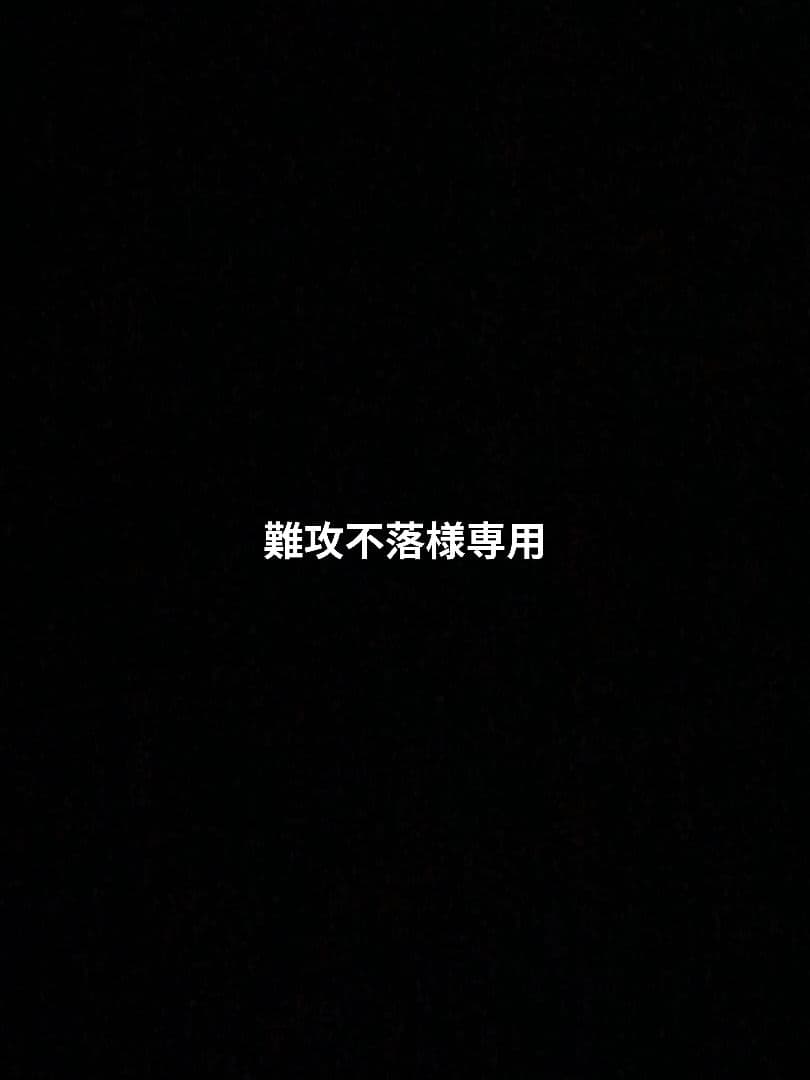 専用 ミニカー 2台セット