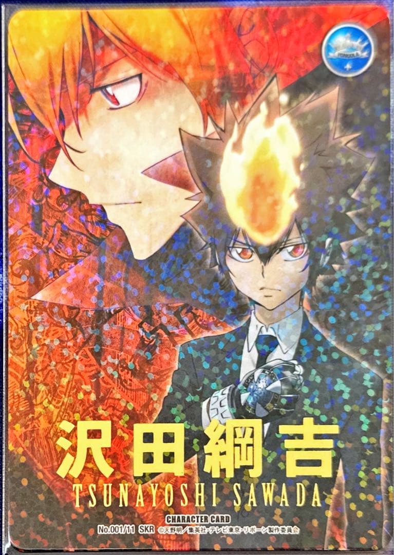 沢田綱吉 B11 超ツナ SKR 死ぬ気レア