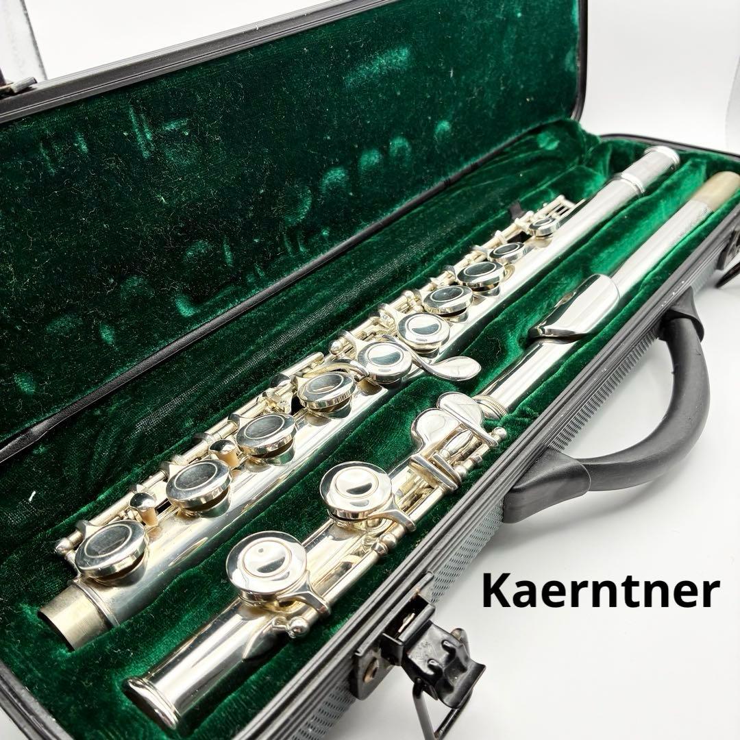 Kaerntner ケルントナー フルート ハードケース - メルカリ