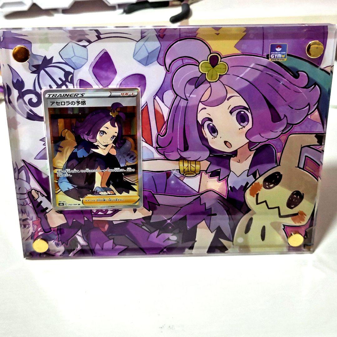 アセロラの予感　フレームセット SR 255/184