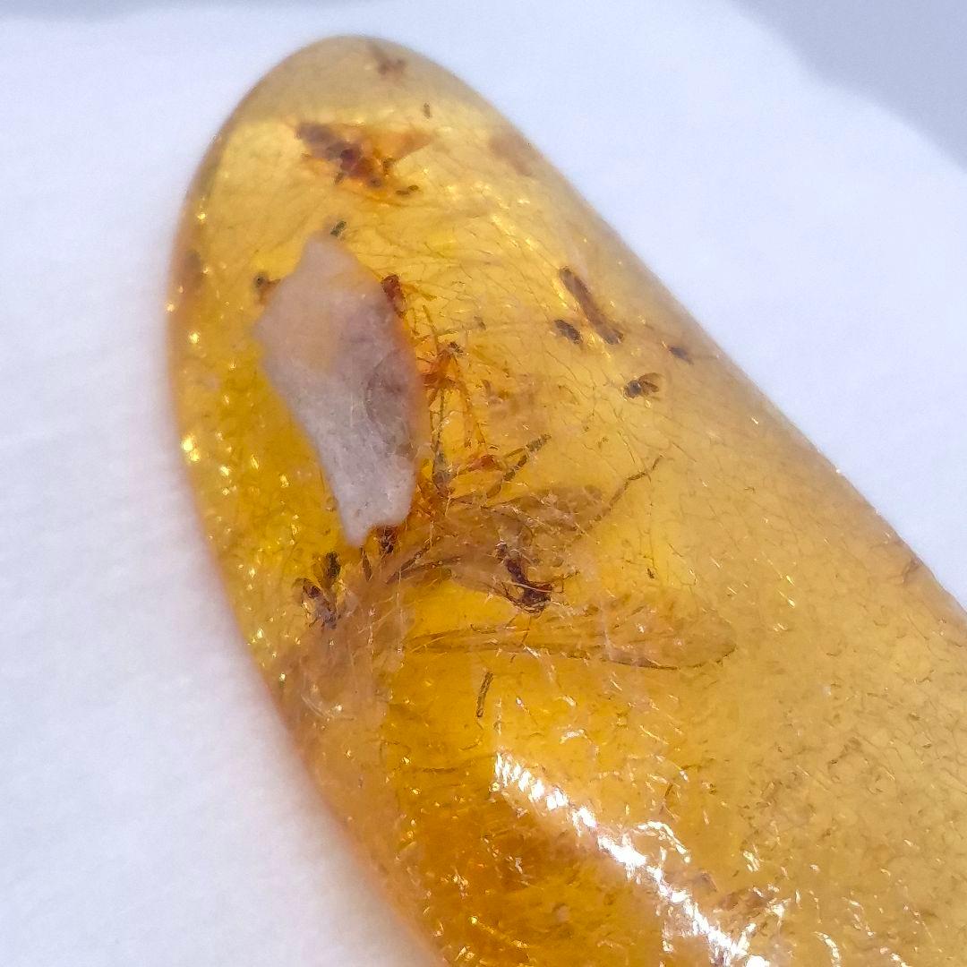 美品 虫入り コーパル 化石 天然 マダガスカル海産 51.16mm cp3