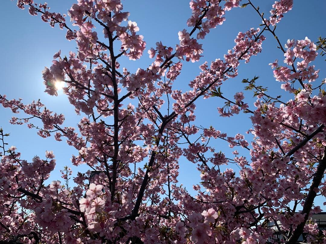 kyoha 学年末テスト対策　国語　社会　理科 数学　過去問と対策問題 東進 共通テスト対策 過去問演習講座・問題冊子 英語/数学/国語/理科