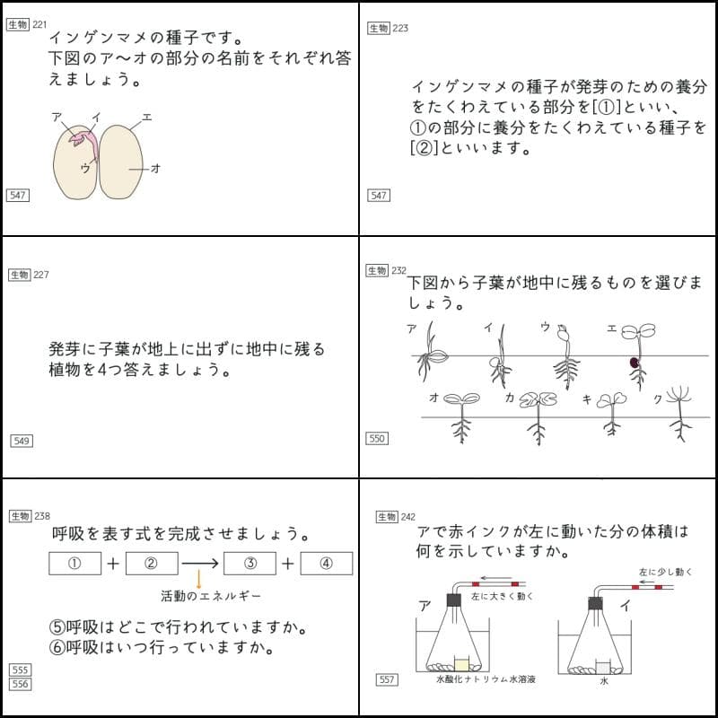 中学受験 暗記カード 理科 生物 サピックス 予習シリーズ コアプラス