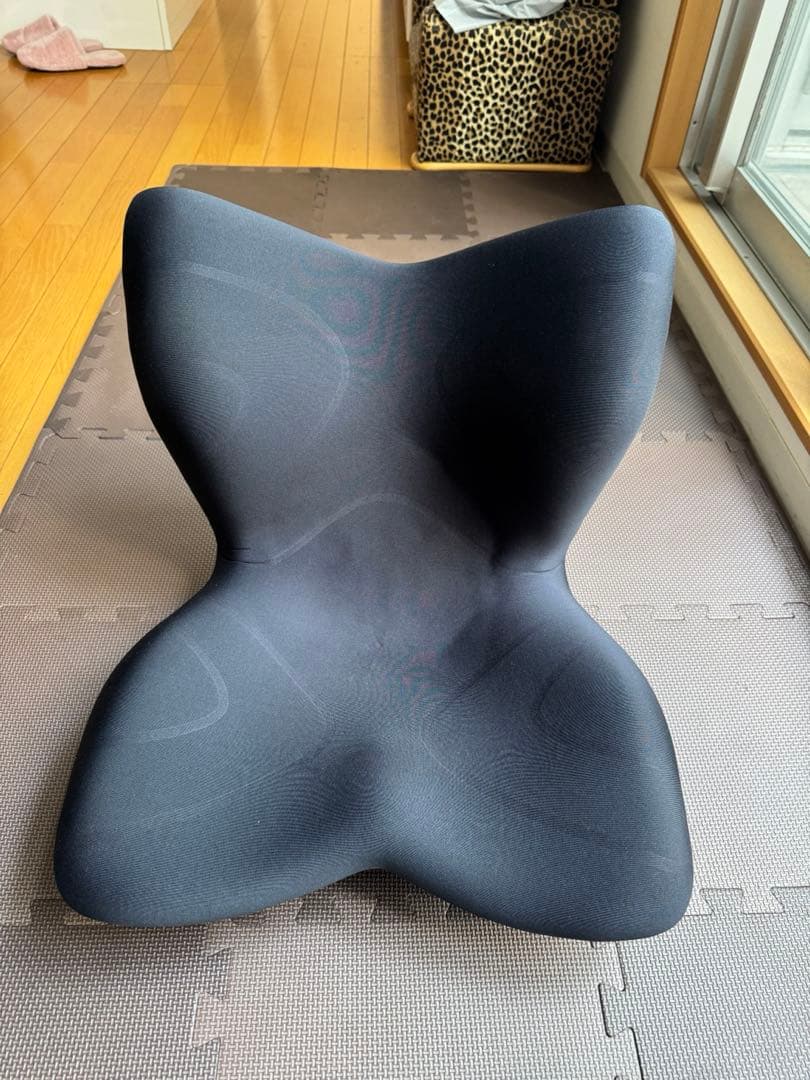 aisa　MTG スタイルプレミアム 骨盤 姿勢補正 椅子　ブラック