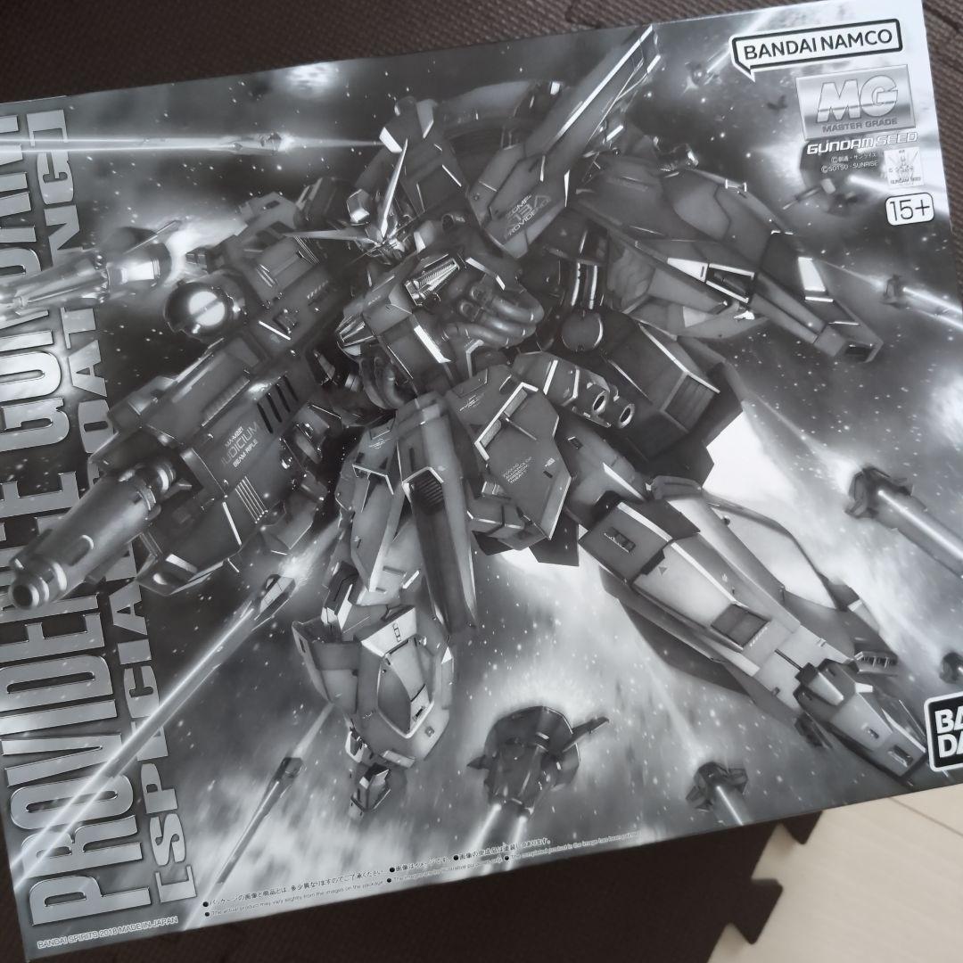 ＭＧ1/100 プロヴィデンスガンダム [スペシャルコーティング