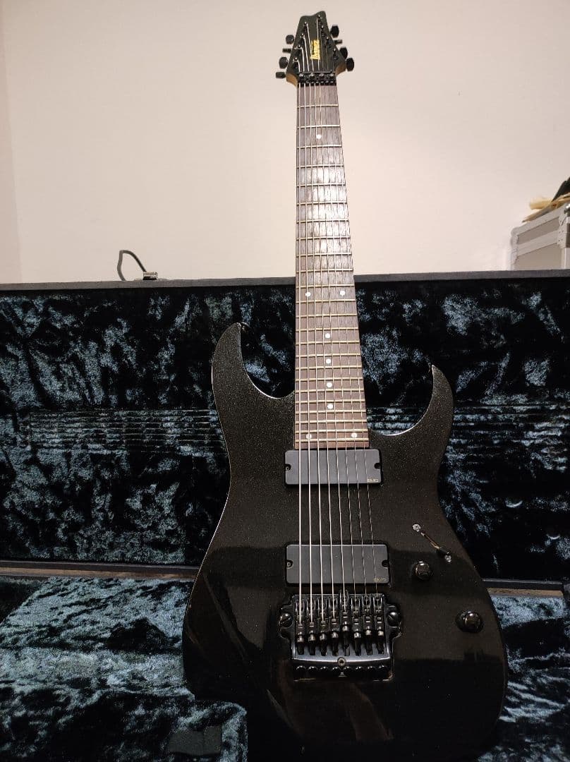 林*様 Ibanez RG2228GK Prestige ケース付 逆輸入