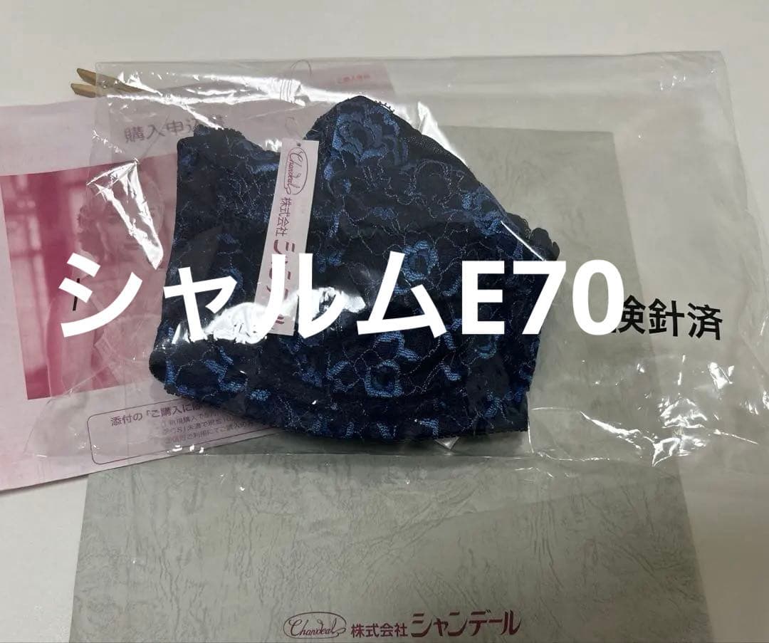 シャンデール　ブラジャーE70