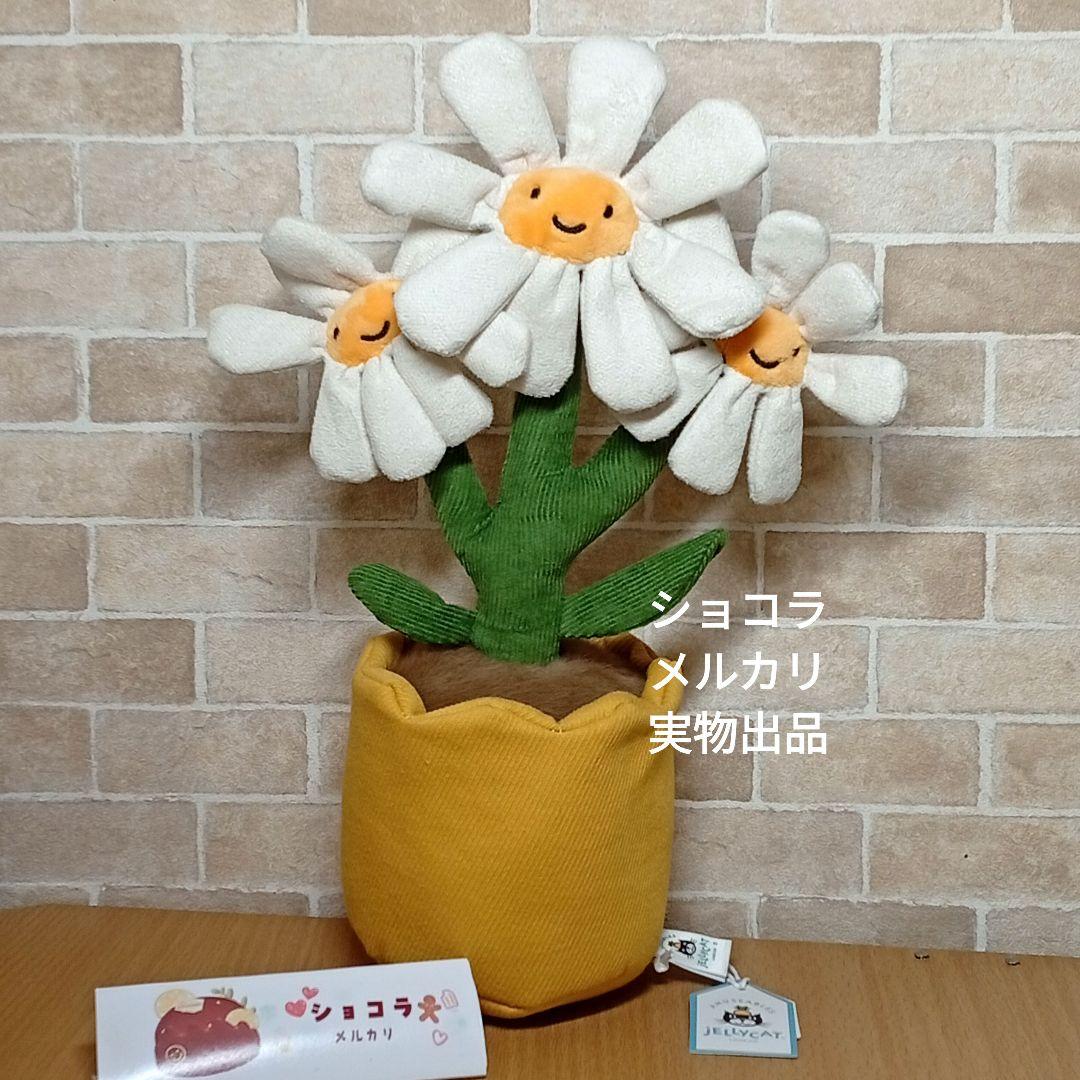  Daisy ジェリーキャット デイジー　お花植木鉢　雛菊　菊花