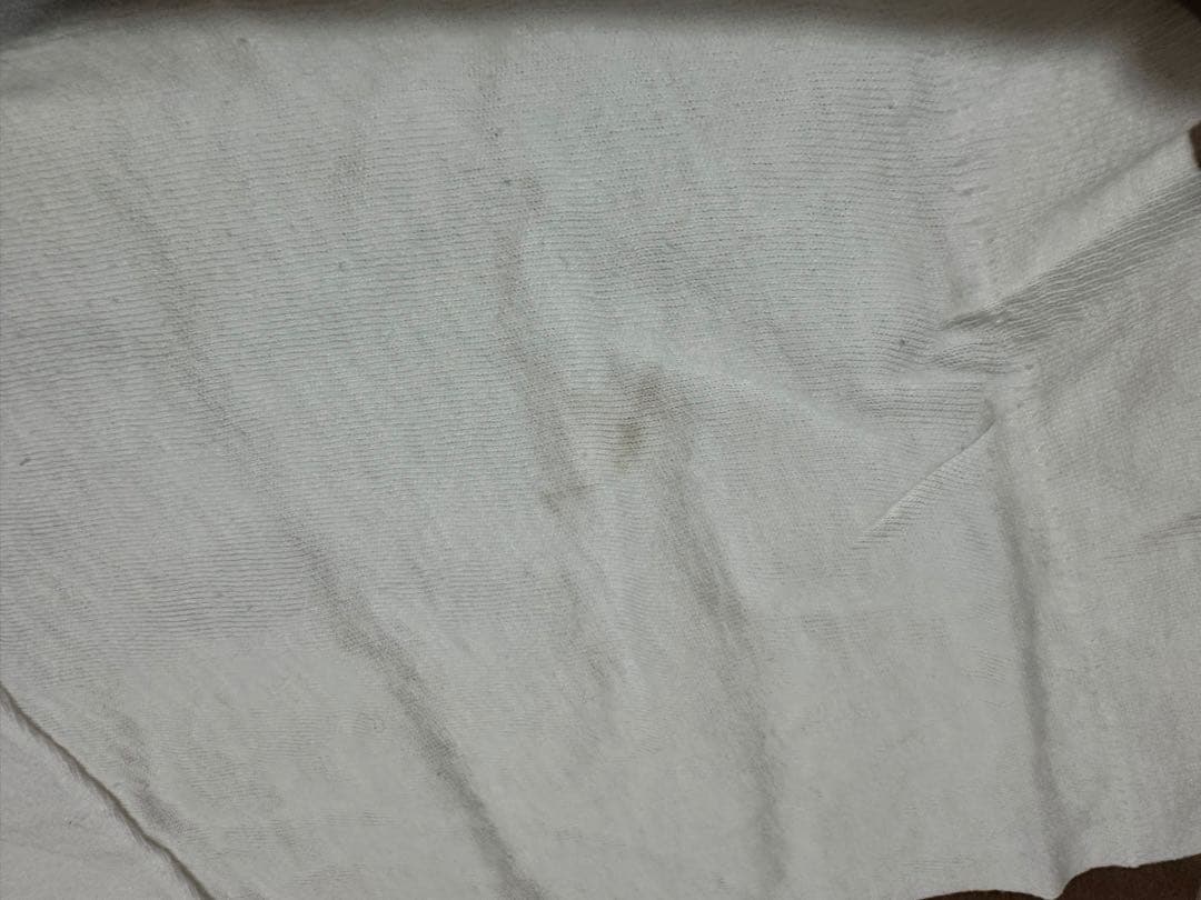 BUMP藤原氏着用【Vintage】meat puppets T-Shirt - メルカリ