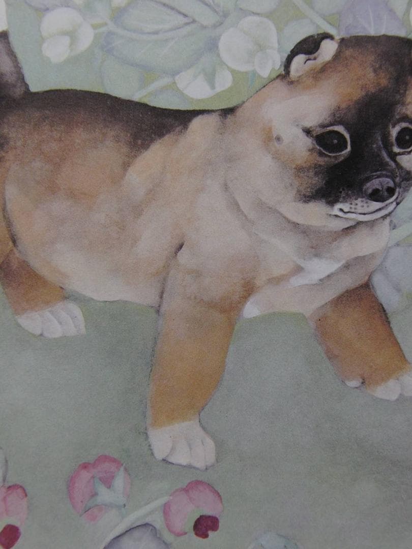 森田沙伊、【遅春】、希少な額装用画集より、新品額装付、状態良好