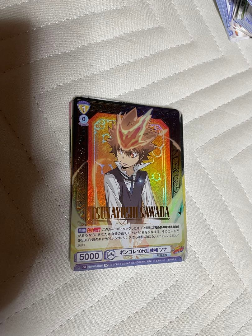 ヴァイスシュヴァルツブラウ　ボンゴレ10代目候補　ツナ　SP