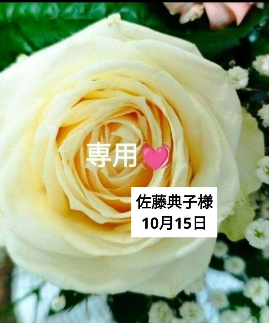 【佐藤典子❤】⭐️ミッションファーストアクティブセラム2本他⭐️