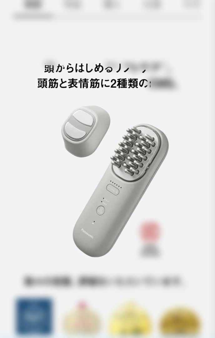 Panasonic パナソニック バイタリフトブラシ グレー