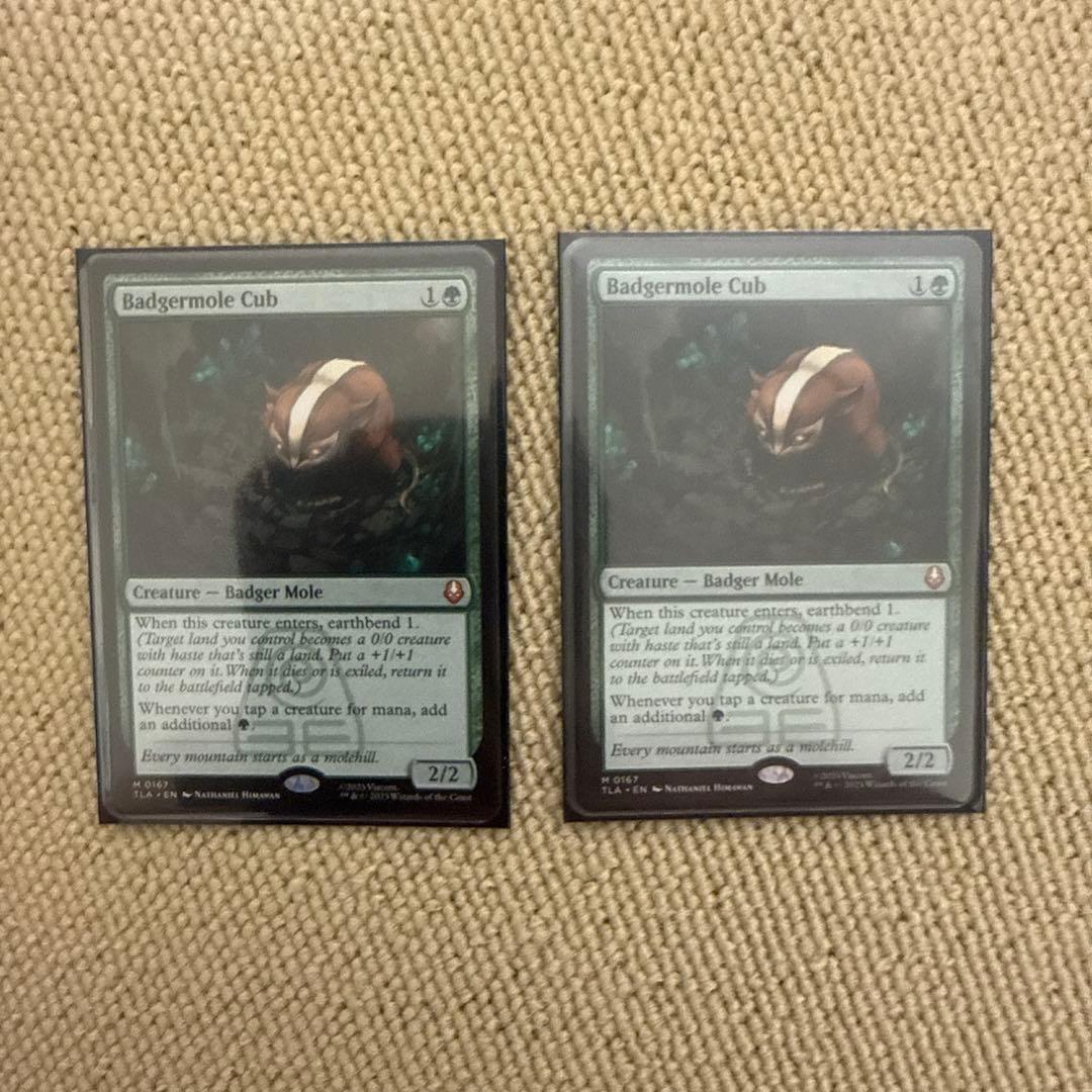 アナグマモグラの仔　英語　2枚