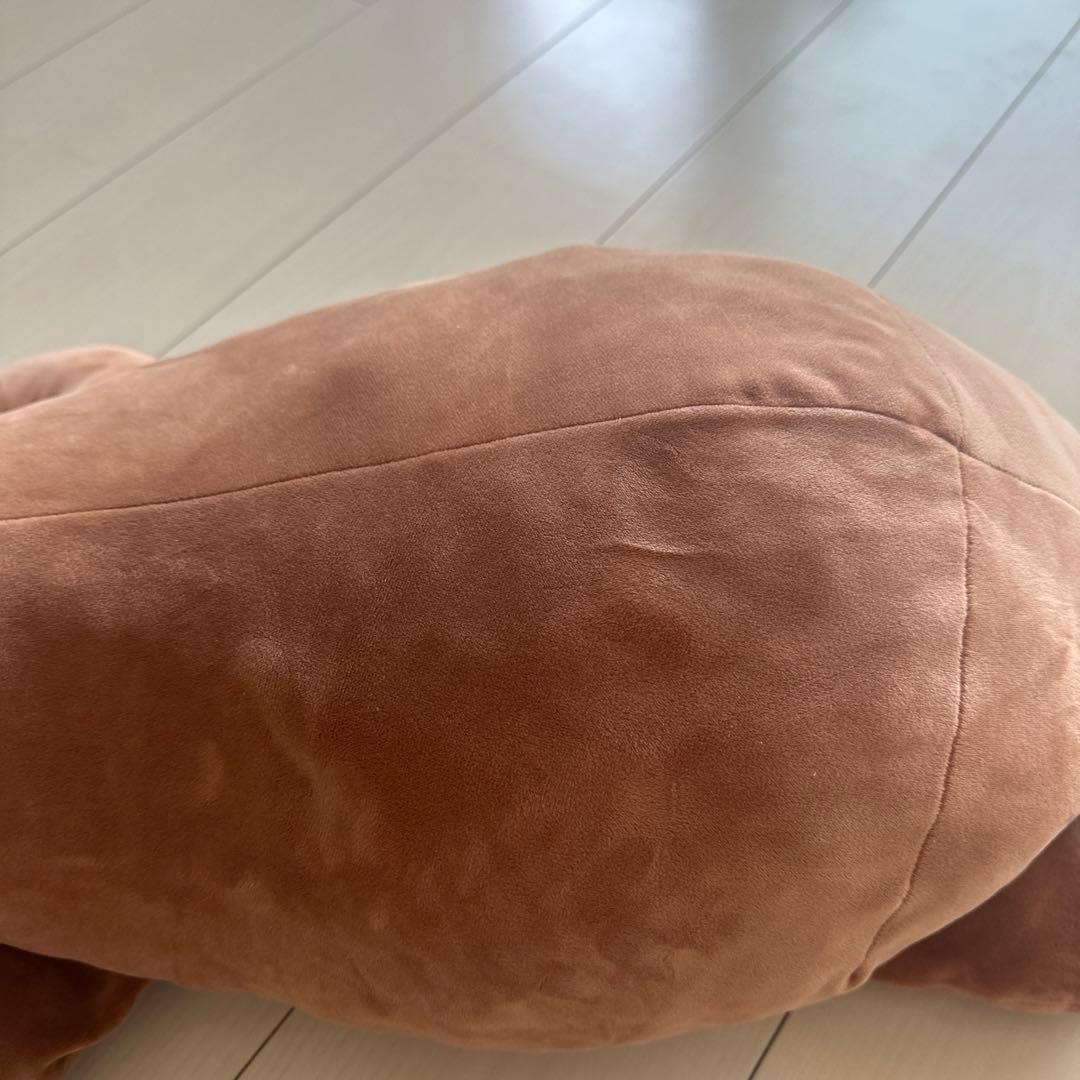 レア 水族館 カワウソ 90cm 特等 特賞 ハッピーマリン - メルカリ