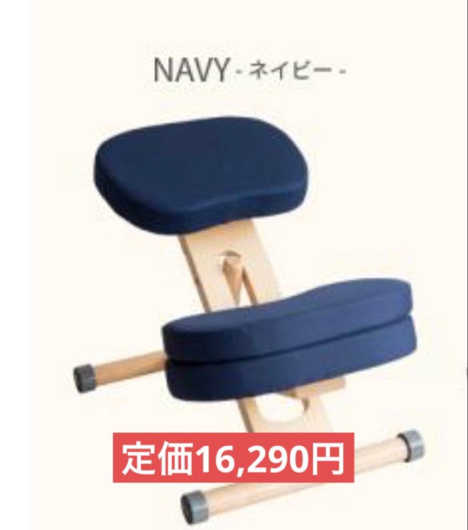 宮武製作所 ミヤタケ プロポーションチェア ネイビー　紺　 椅子 キッズ