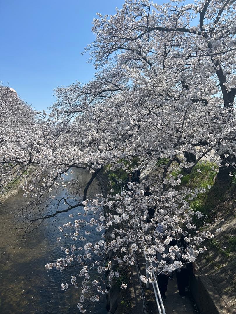 上妻　KYPHI PERFUMES 香油エジプシャンオイル