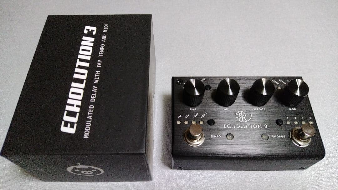 ギター PIGTRONIX ECHOLUTION 3