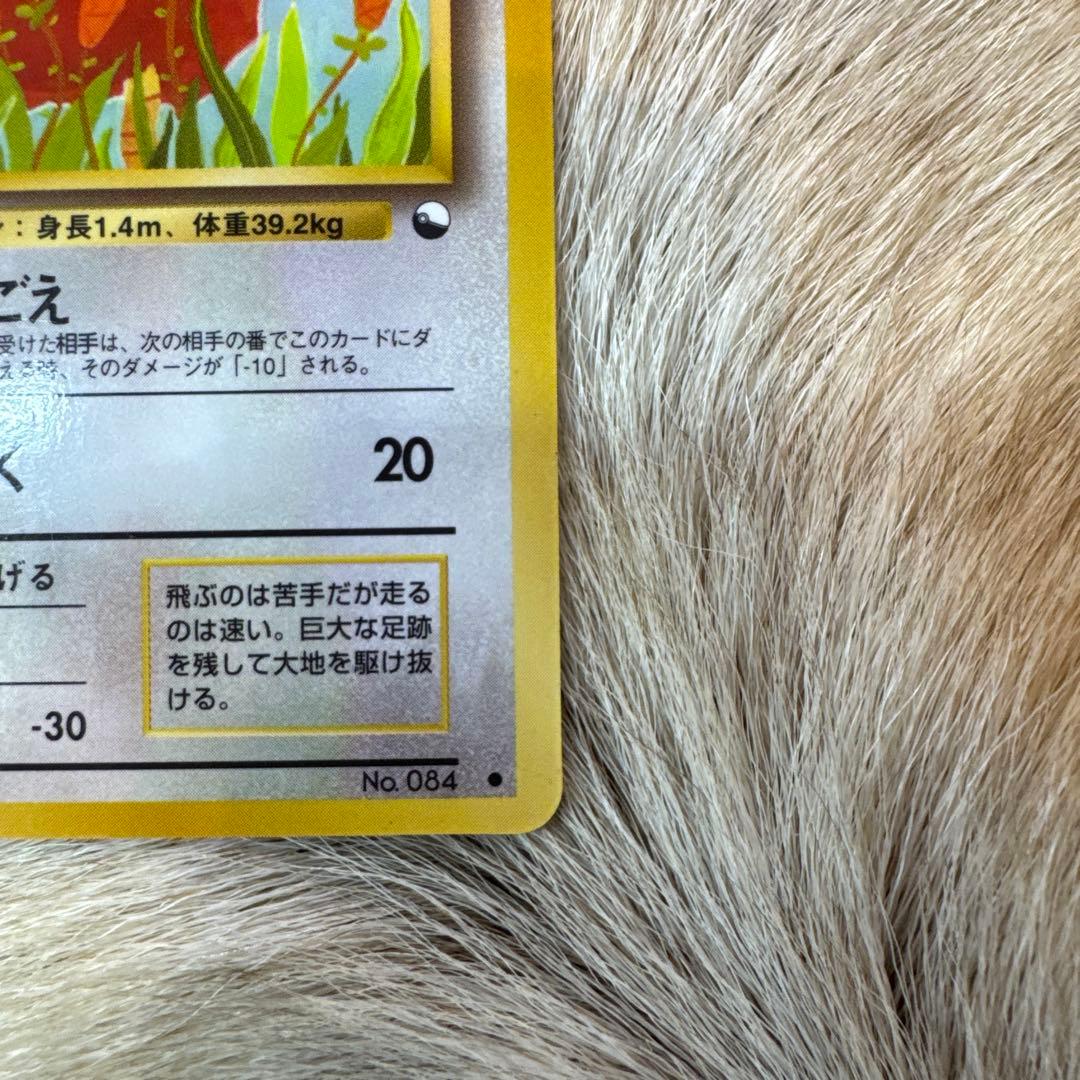 ドードー ○ 拡張シート第1弾(青版) - メルカリ