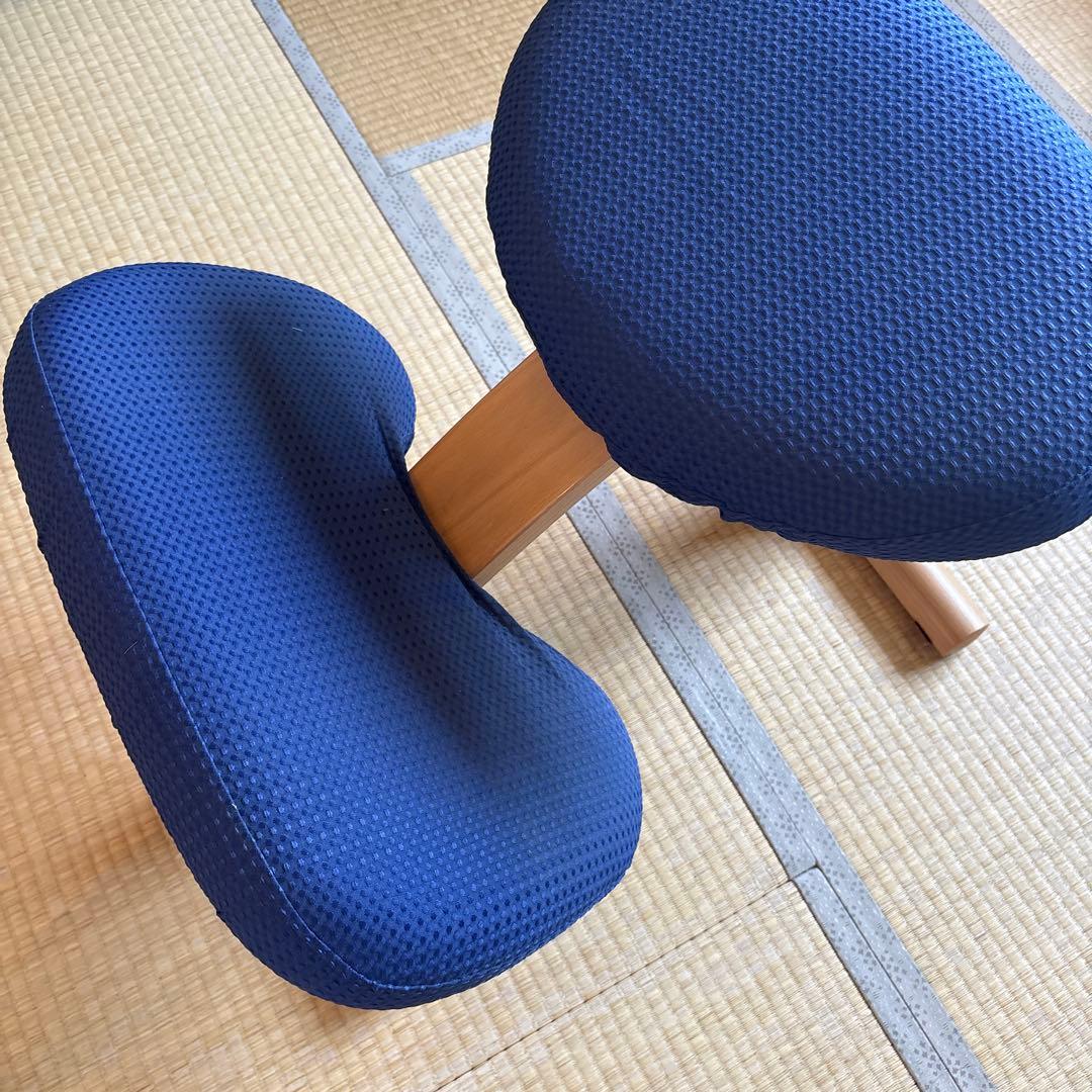 バランスイージー　もう一台出品しております。