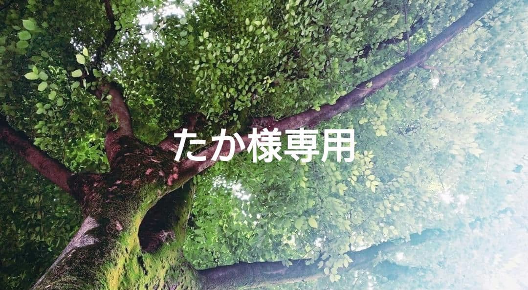 たか✨特典付電磁波防止✨本物CMCペンダントUSA版　4本お値引き