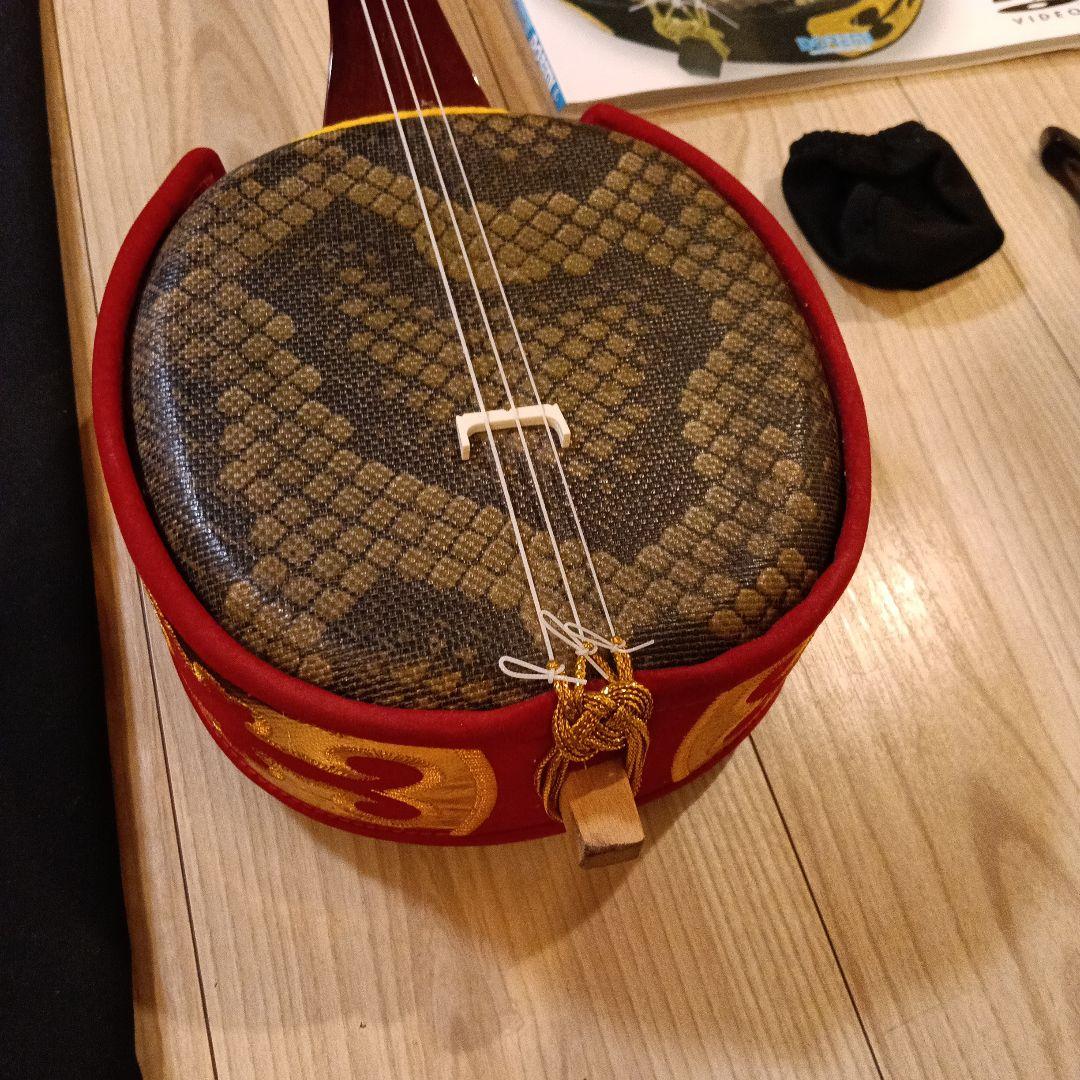 三線 本体 蛇皮模様 入門DVD付き - メルカリ