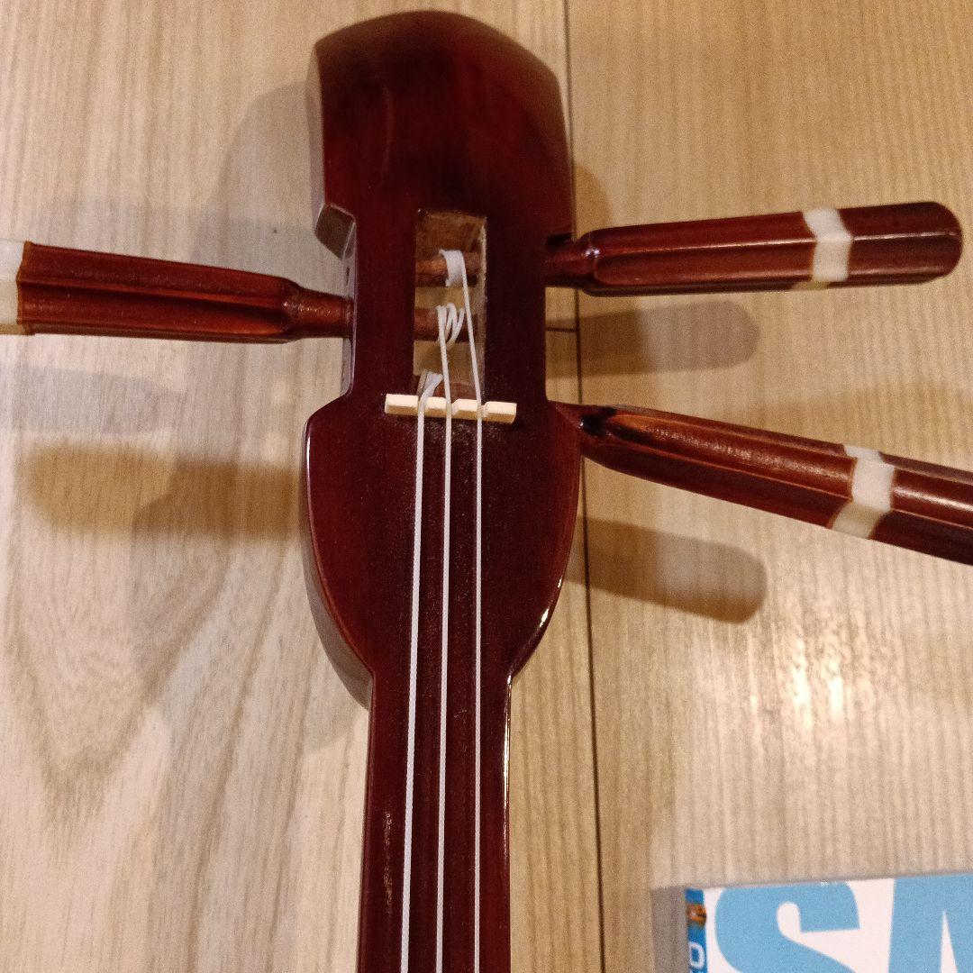 三線 本体 蛇皮模様 入門DVD付き - メルカリ