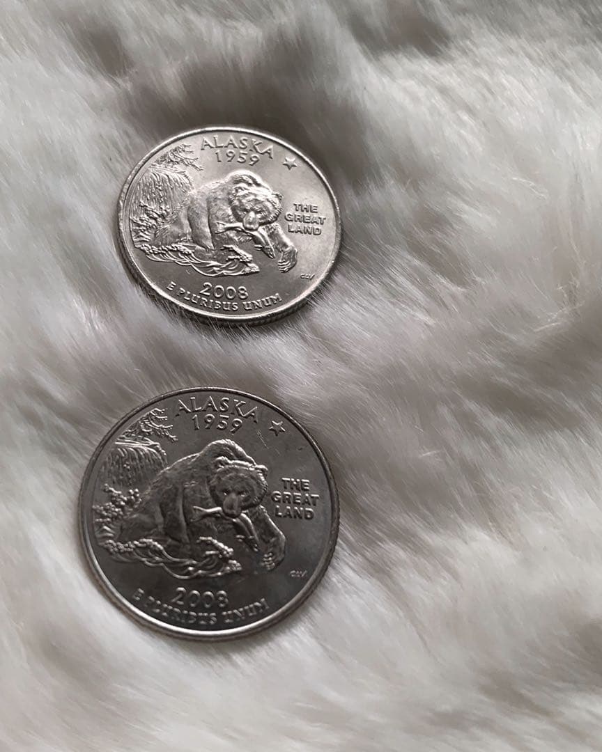 ☆アメリカ50州25セントコイン☆造幣局別2種類 - メルカリ