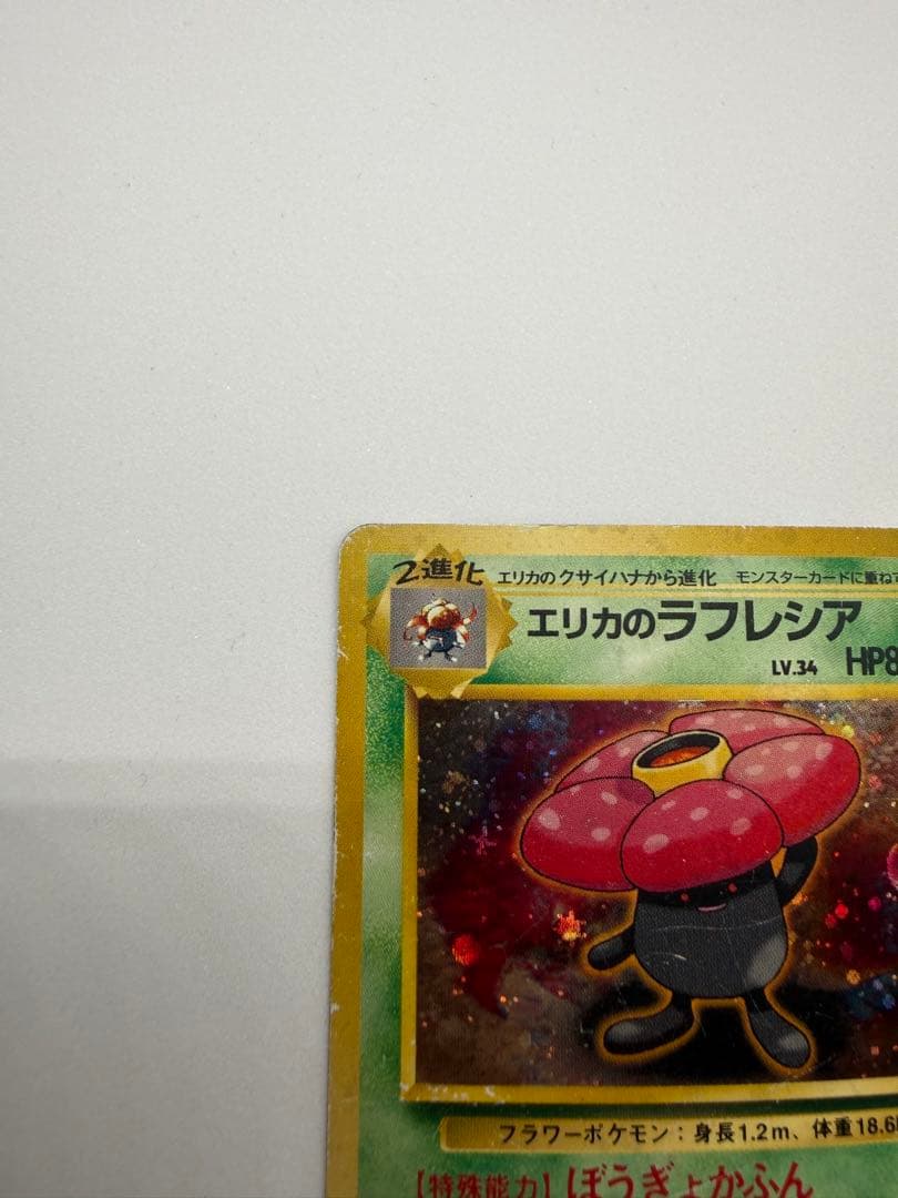 エリカのラフレシア ☆ 旧裏 - メルカリ