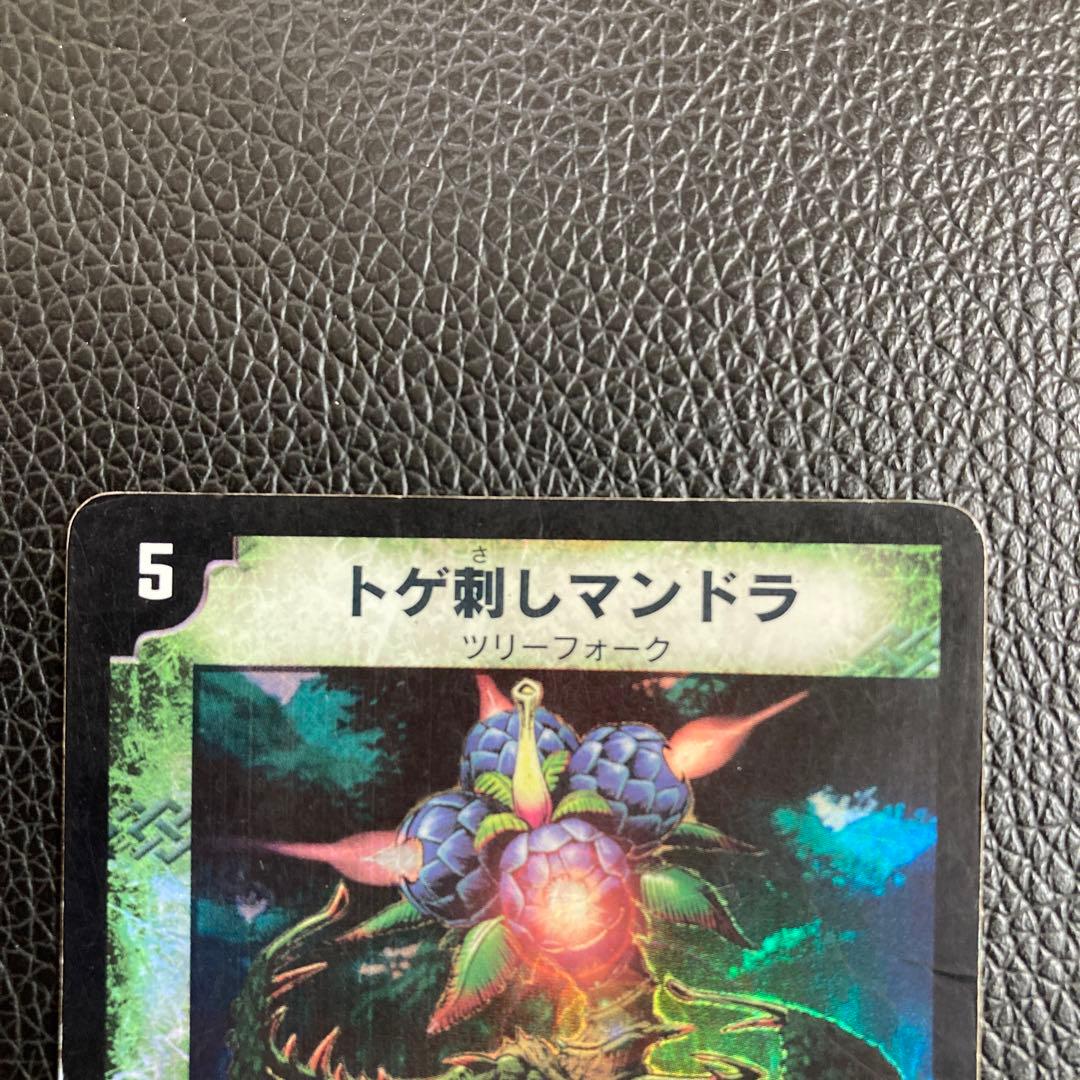 トゲ刺しマンドラ 初期 - メルカリ