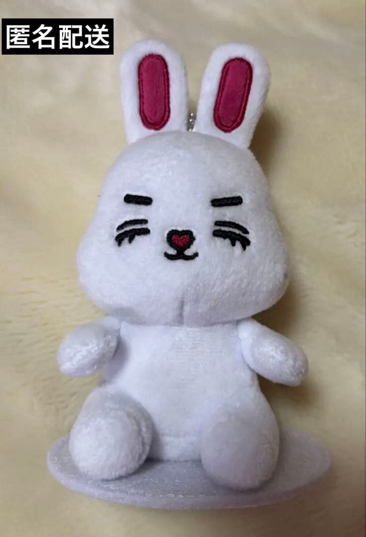 SEVENTEEN MINITEENマグネットキーリング チェチェリ エスクプス