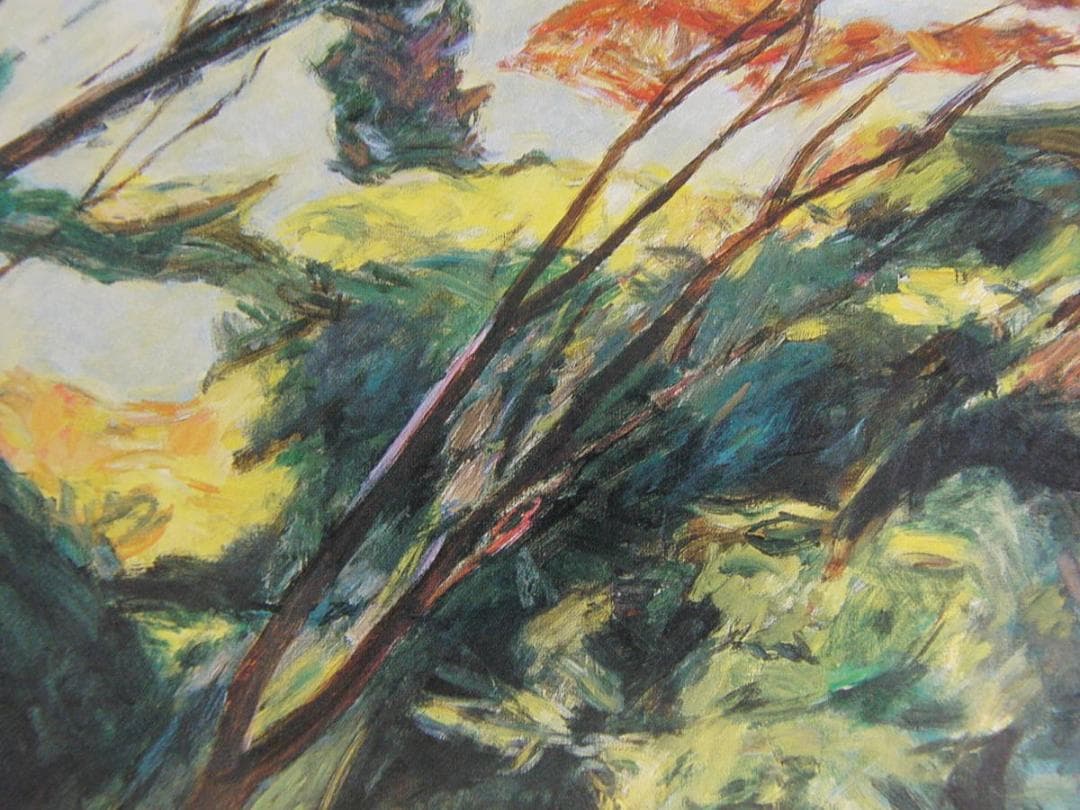 中谷貞彦、【伊豆八幡野（I)】、希少な額装用画集より、新品額装付