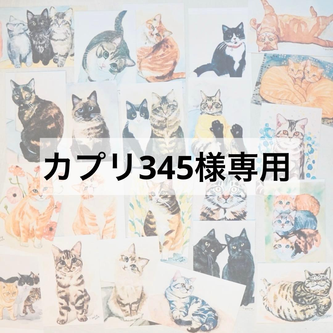 カプリ345ページ