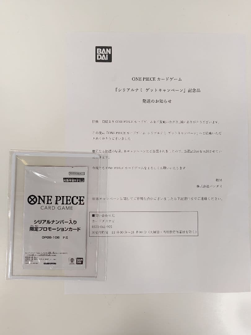 未開封】シリアル ナミ 1200枚限定 エッグヘッド プロモ 通知書つき