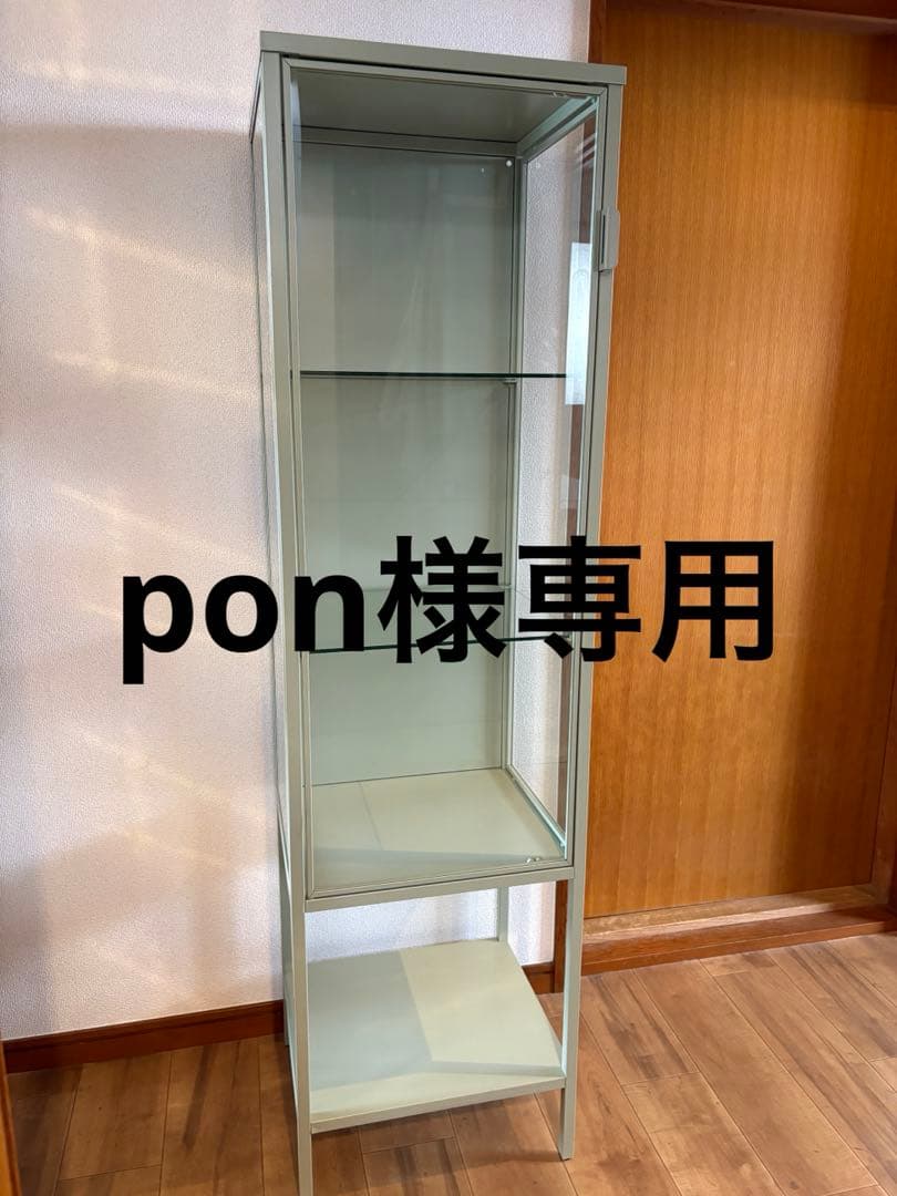 pon22　RUDSTA ルードスタ　コレクションケース　ライトグリーン