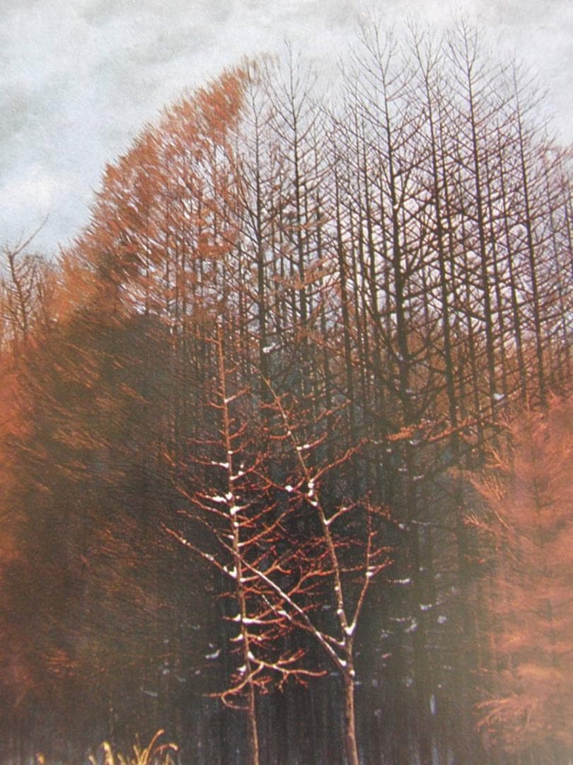 石田武、「林」、希少な画集の額装画、オーダーマット付・日本製新品額入り