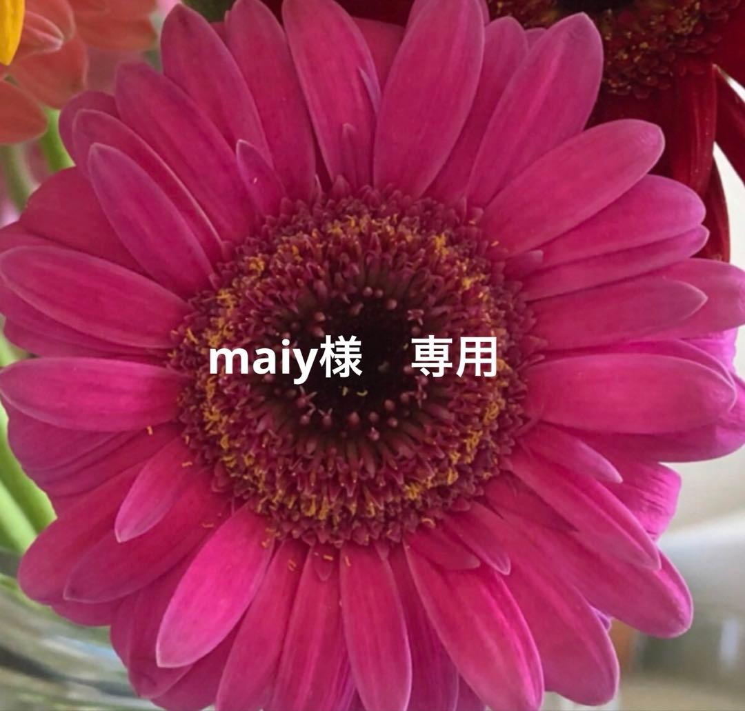 SAIBOWクリーム2個 /APPフラセラム60