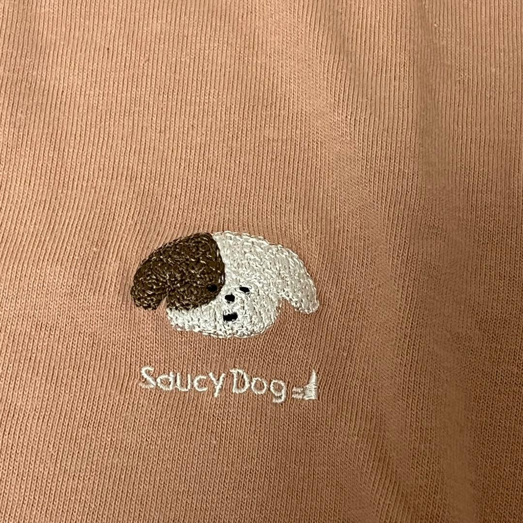 saucy dog サウシードッグ Tシャツ タオル ラババン キーホルダー