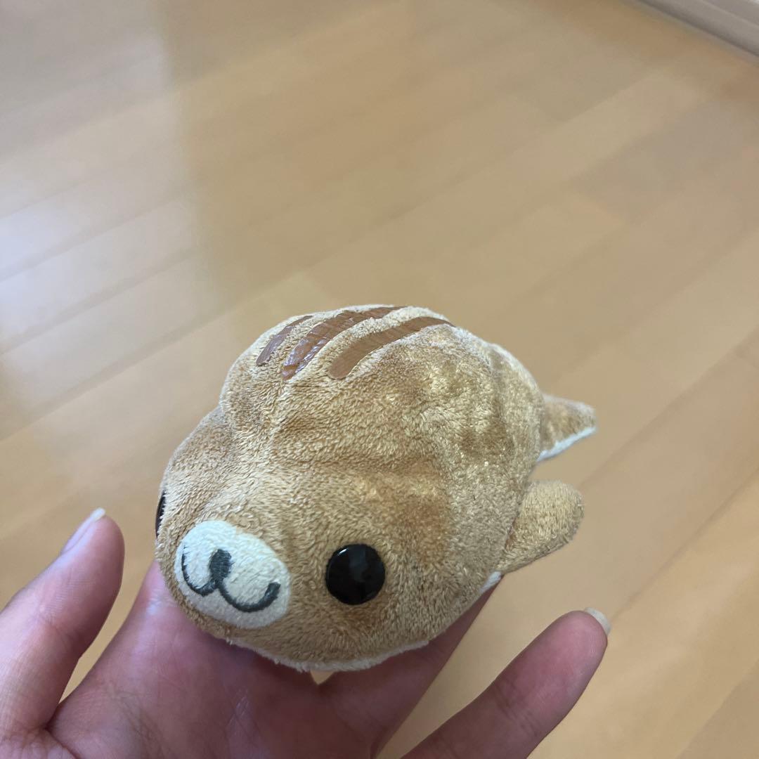 まめゴマ しまゴマ ぬいぐるみ - メルカリ