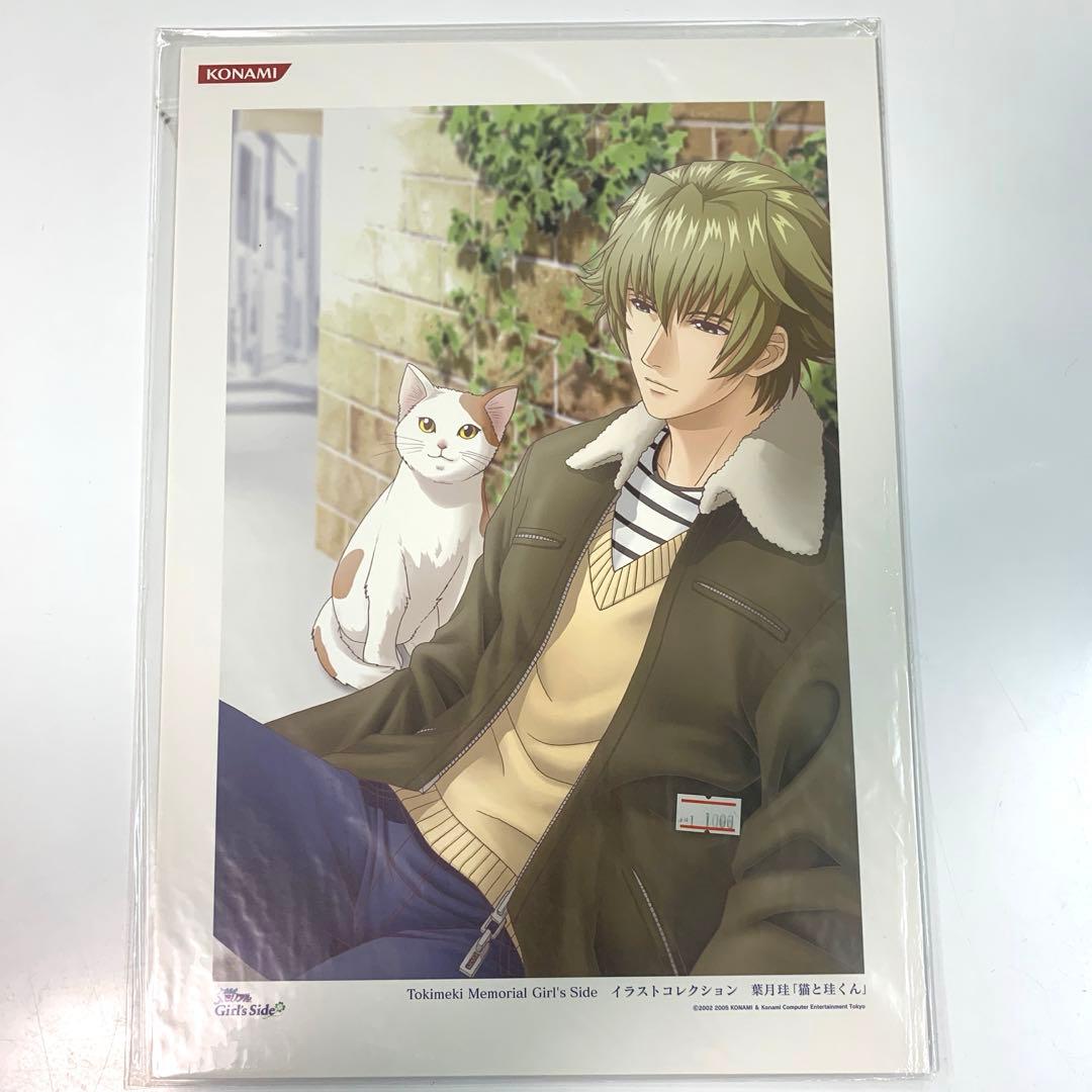 ときめきメモリアル イラストコレクション クリアポスター ポート