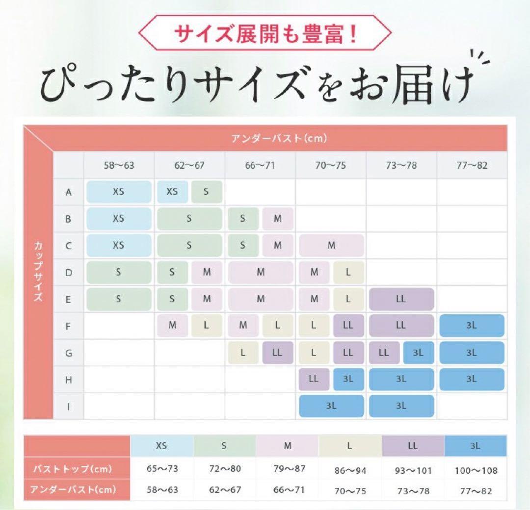 PGブラ 益若つばさ ナイトブラ ブラック LL PGブラ ナイトブラ ブラック LL