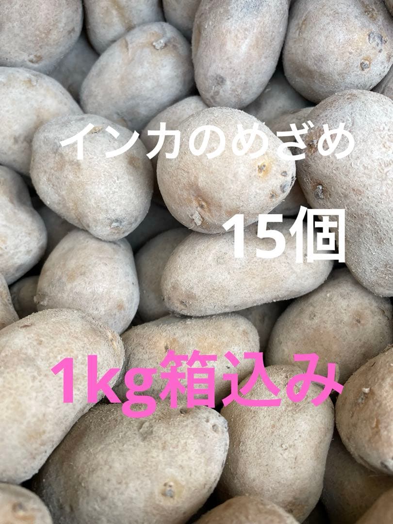 インカのめざめ 種芋 1kg箱込み - メルカリ