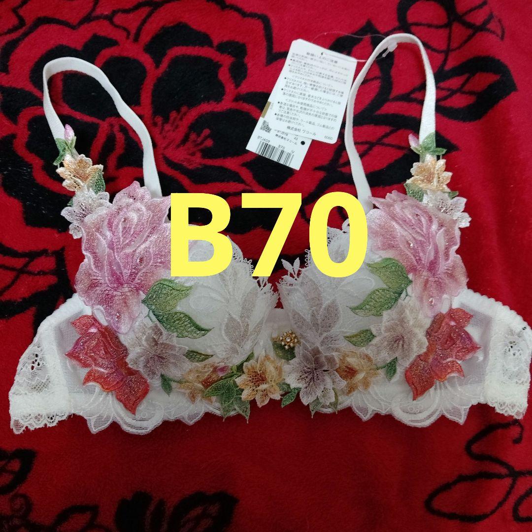 サルート 限定発売コレクション 09group B70