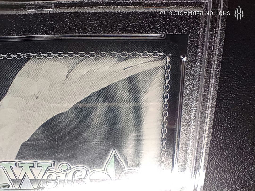 極美品エルフのお茶会 不知火 フレア SSP ヴァイス PSA10 SSP - メルカリ