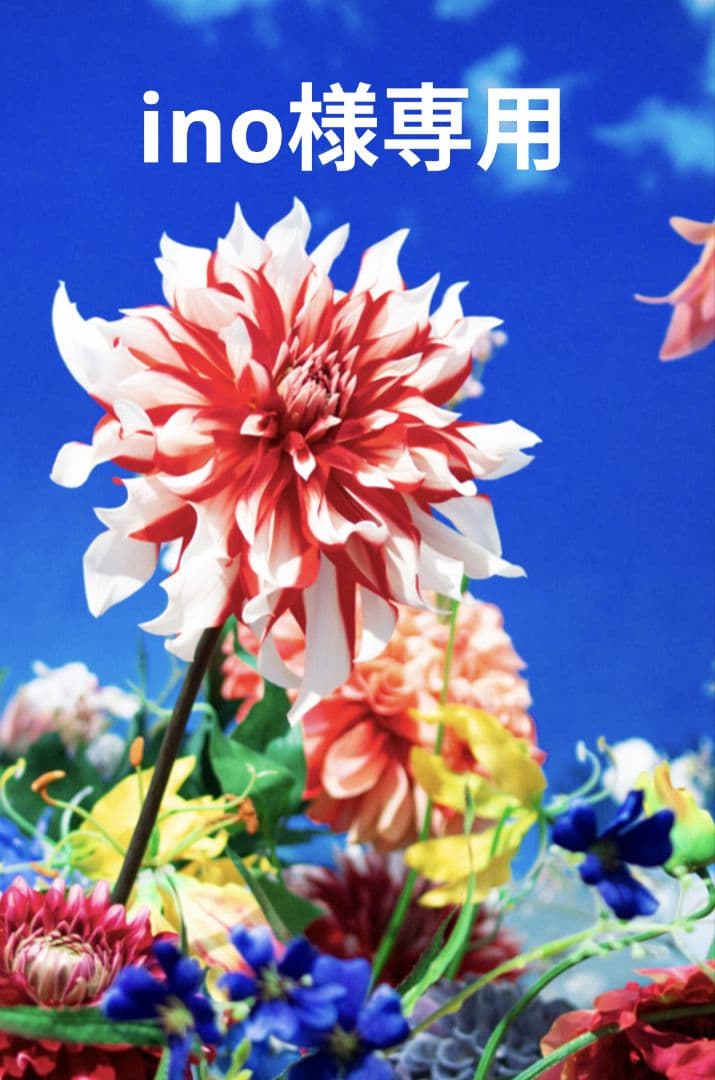 平和堂貿易 クイーンジュエリー Pt950 極上美 ダイヤモンドリング Queen Jewelry 平和堂貿易 デザインリング 16号 ダイヤモンド 約4.7g