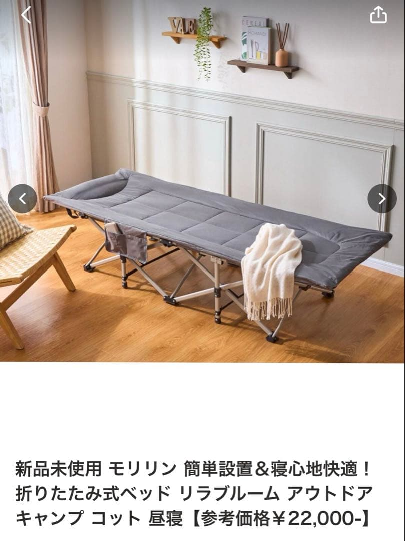 モリリン 簡単設置＆寝心地快適！ 折りたたみ式ベッド リラブルーム