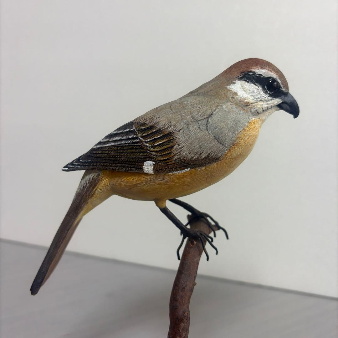 「モズ」　 木彫りの野鳥　リアルバードカービング　野鳥彫刻