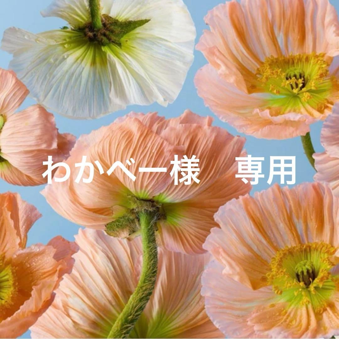 わかべー　黒　36 本日発送